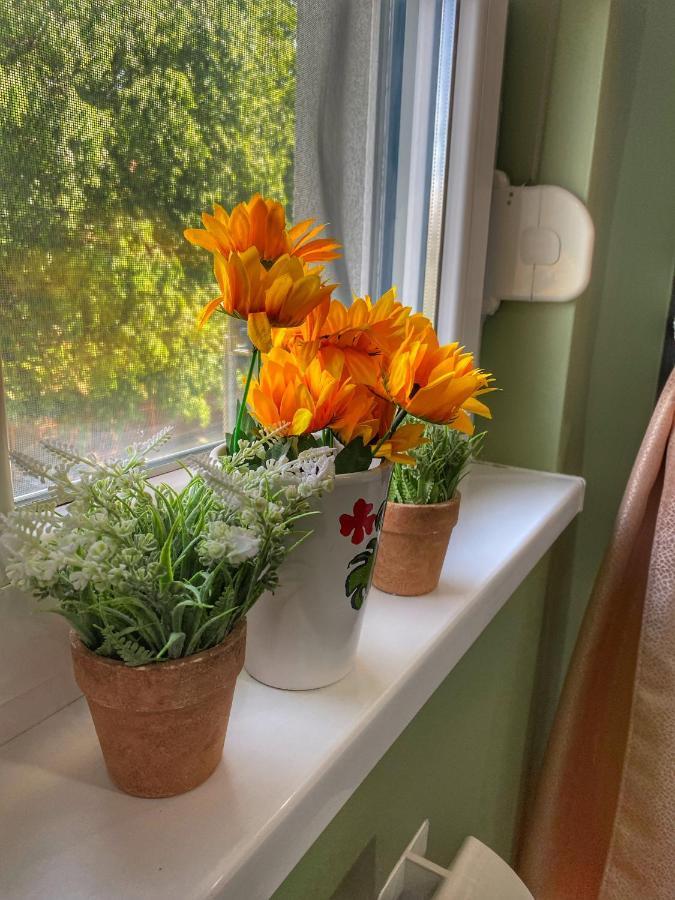 Apartman Diana Sremska Mitrovica Eksteriør bilde